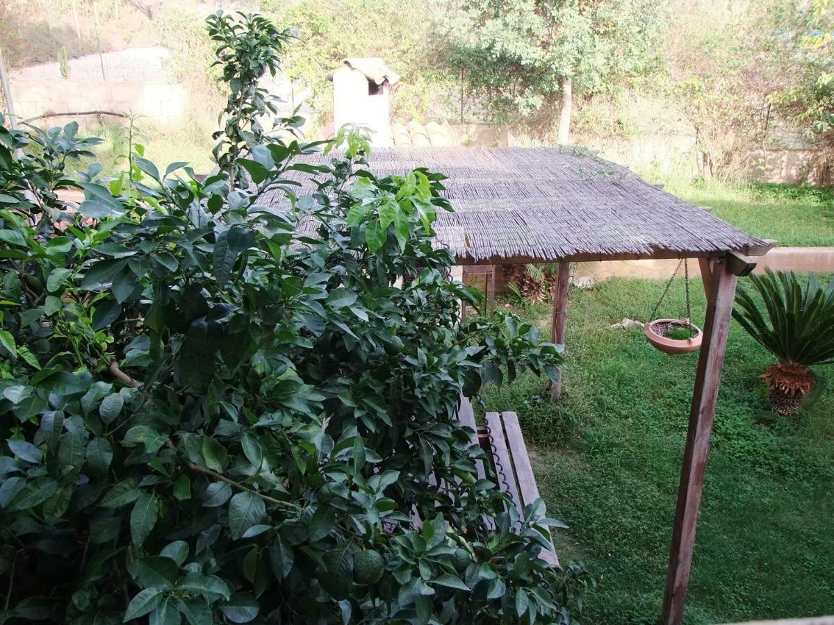 Il Filo Di Paglia Bed & Breakfast Комизо Екстериор снимка
