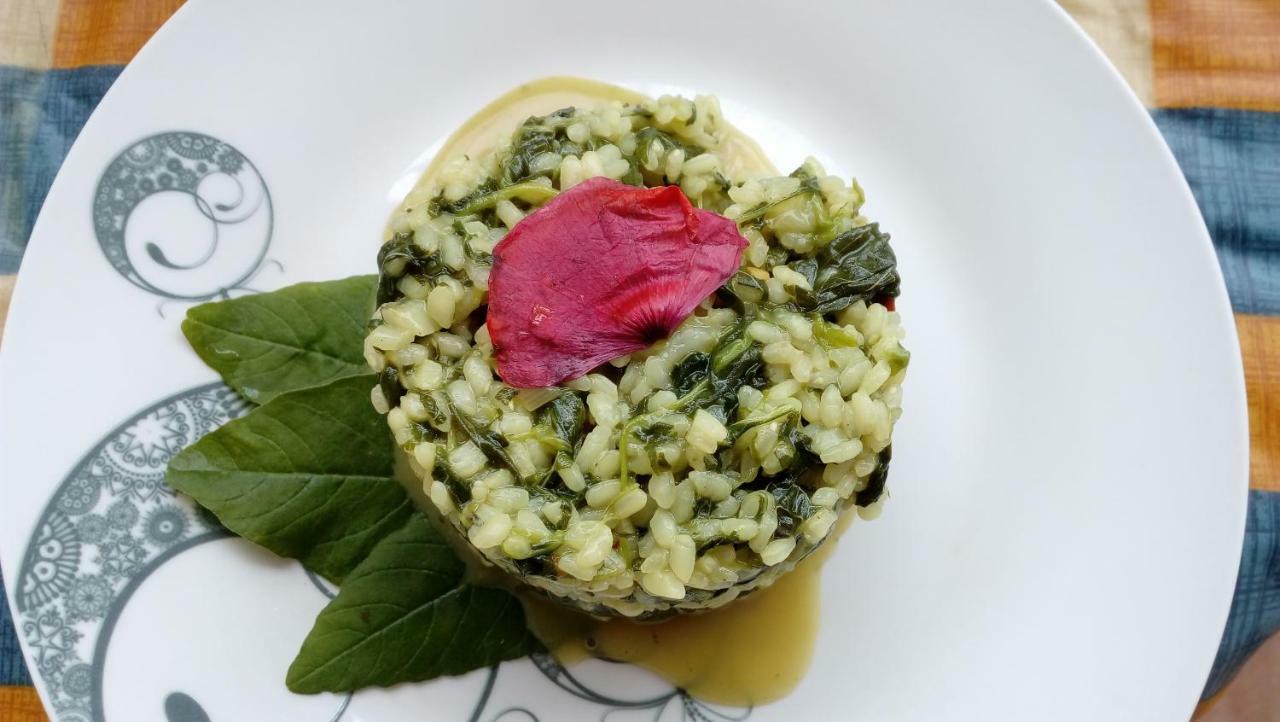 Il Filo Di Paglia Bed & Breakfast Комизо Екстериор снимка